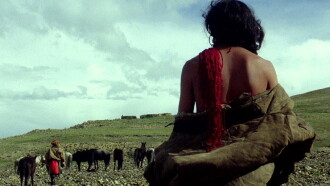 The Horse Thief Trailer