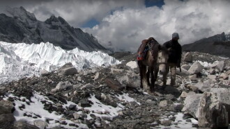 The Horseman of Mount Everest Trailer