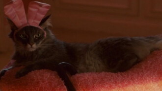 The House Bunny Trailer