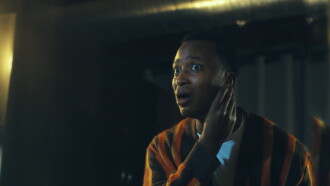 The Housefly Trailer
