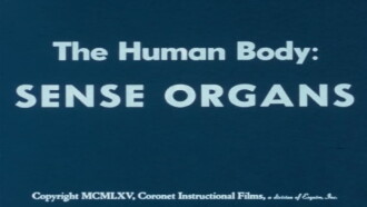 The Human Body: Sense Organs Trailer
