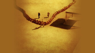 The Human Centipede 3 (Final Sequence) Trailer