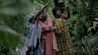 THE INDIGO TREE or the descent of the twins Trailer
