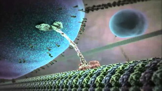 The Inner Life of the Cell Trailer
