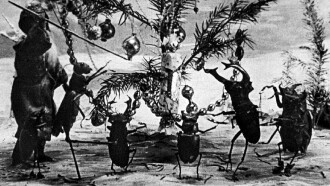 The Insects' Christmas Trailer