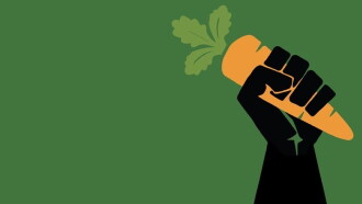 The Invisible Vegan Trailer