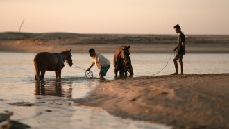 The Irreplaceable Sumba Trailer