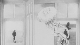 The Jellyfish Trailer