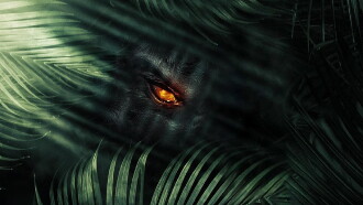 The Jungle Trailer