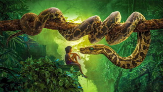 The Jungle Book Trailer