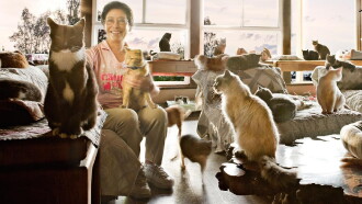 The Lady with 700 Cats Trailer
