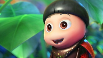 The Ladybug Trailer