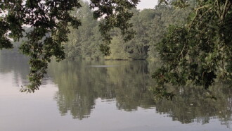 The Lake Trailer