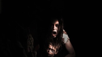 The Lake on Clinton Road Trailer