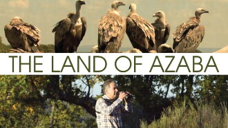 The Land of Azaba Trailer