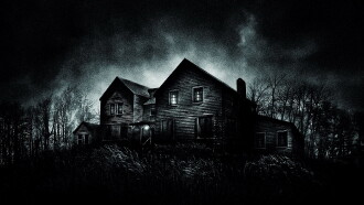 The Last House on the Left Trailer