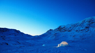 The Last Igloo Trailer
