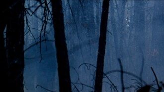 The Legend of Boggy Creek Trailer