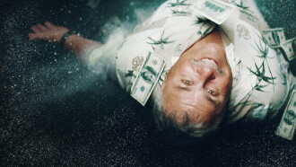 The Legend of Cocaine Island Trailer