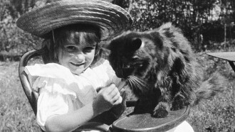 The Little Girl and Her Cat Trailer