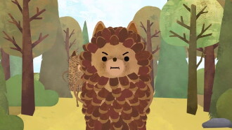 The Little Hedgehog Trailer