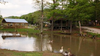The Little Ponderosa Zoo Trailer