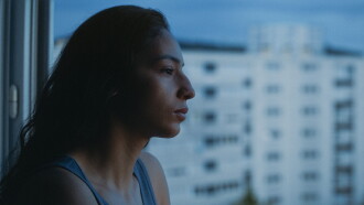 The Little Sister Trailer