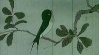The Little Swallow Trailer