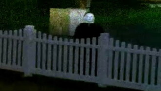 The Lost Footage of Michael Myers Trailer
