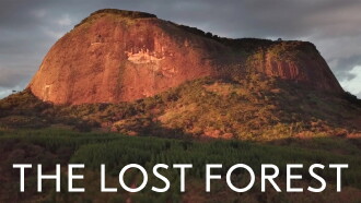The Lost Forest Trailer