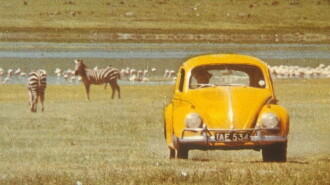 The Love Bug Rally Trailer