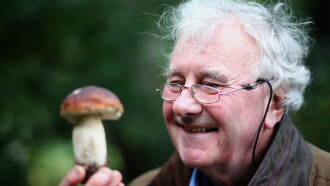 The Magic of Mushrooms Trailer