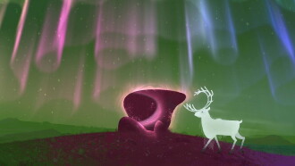 The Magic Times Trailer