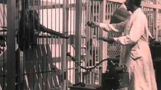 The Man and the Monkey Trailer