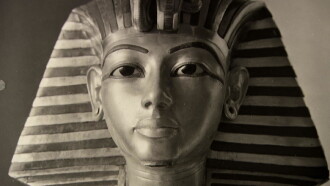 The Man Who Shot Tutankhamun Trailer