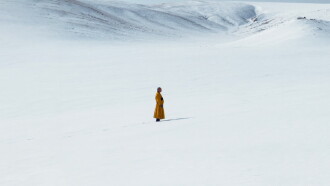 The Medicine Buddha Trailer