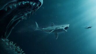 The Meg Trailer