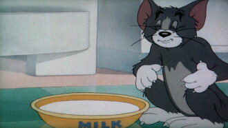 The Milky Waif Trailer