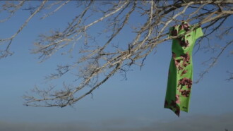 The Miu Miu Affaire Trailer