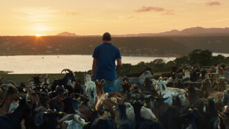 The Mohican Trailer