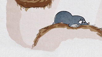 The Mole And The Earthworm Trailer