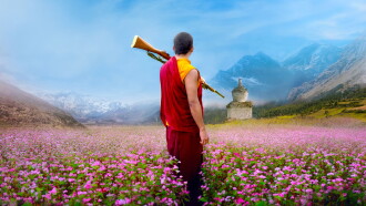 The Monk and the Gun Trailer