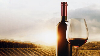 The Mostly Serious History of Wine Trailer