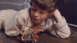 The Mouse and the Motorcycle Trailer