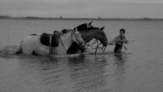 The Movement Trailer