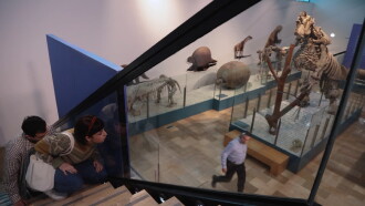 The Museum Trailer