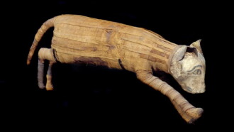 The Mysterious Mummified Dogs of Ancient Egypt Trailer