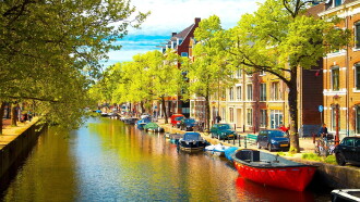 The Netherlands Trailer