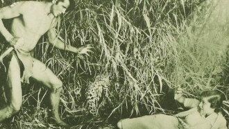 The New Adventures of Tarzan Trailer