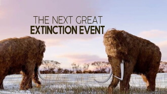 The Next Great Extinction Event Trailer